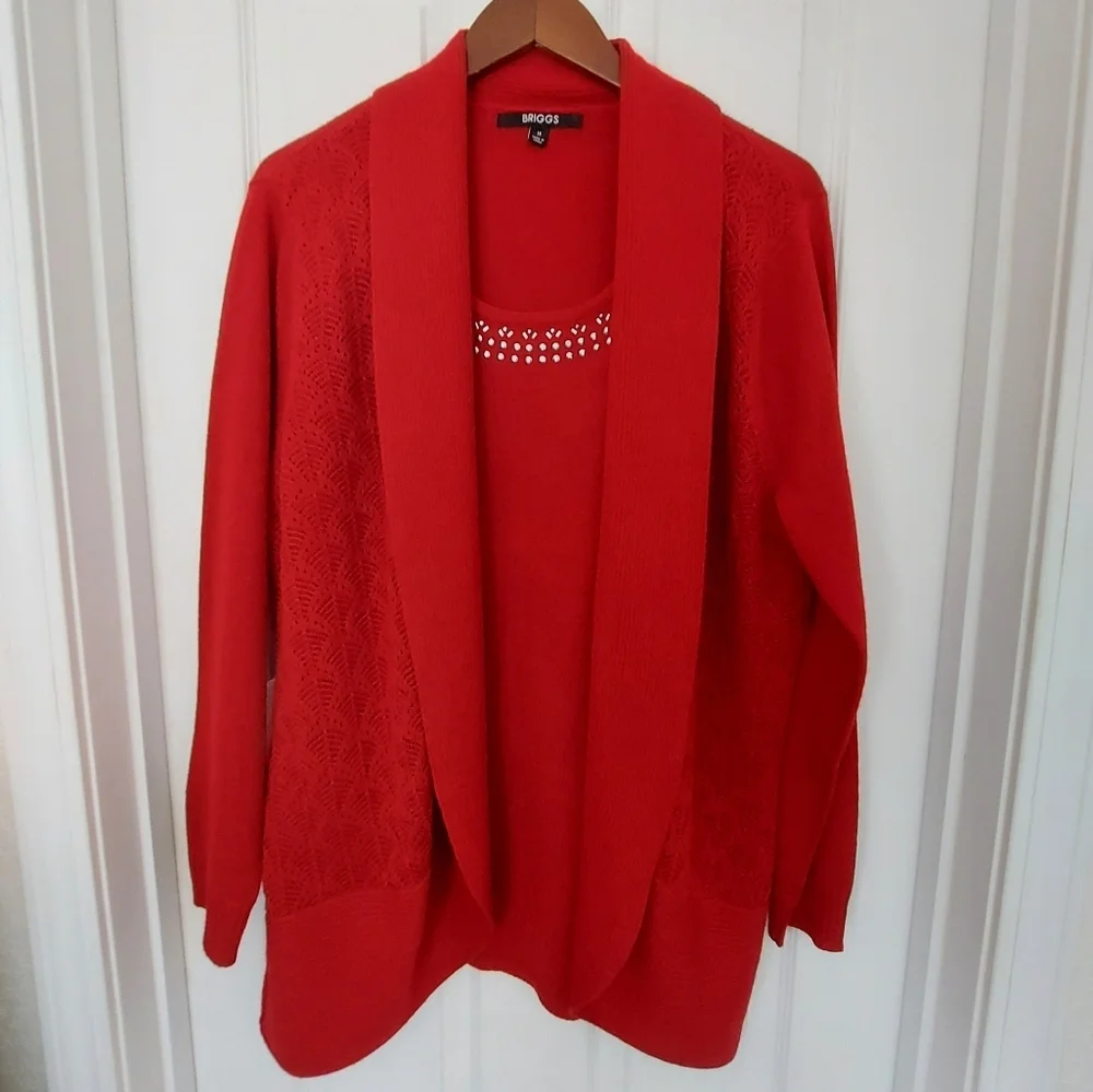 Briggs New York Cardigan Sweater 1X - Picture 1 of 5